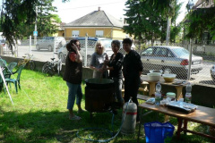20100608_1354229245_p1060435