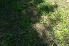 20100608_1414324069_p1060468