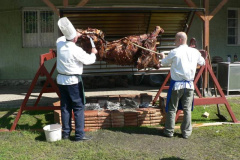 20100608_1492920439_p1060440