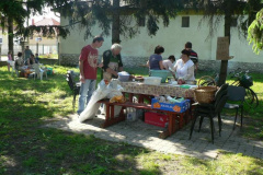 20100608_1841767241_p1060429