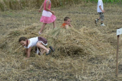 20100712_2090364468_p1060849