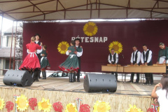 20111010_1511944260_retesnap-2011-363201