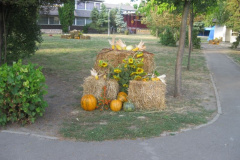 20111010_1703908677_retesnap-2011-043201