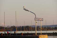 20100927_2089009158_p8040783