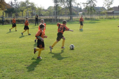 20121029_1220750706_p1110274201