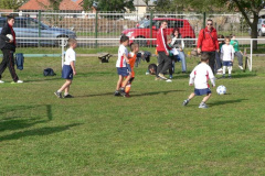20121029_1252983318_p1110279201