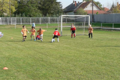 20121029_1272313709_p1110240201