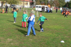 20121029_1375518728_p1110234201
