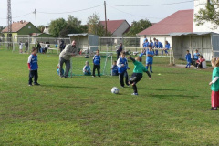 20121029_1452623955_p1110238201