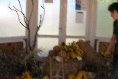 20120921_1151162631_retesnap-2012-043201