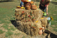 20120921_1206916037_retesnap-2012-060201