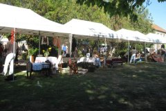 20120921_1280516954_retesnap-2012-186201