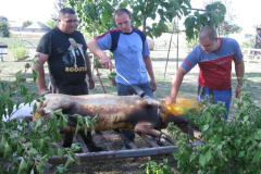 20120921_1344443513_retesnap-2012-112201