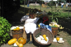 20120921_1518051294_retesnap-2012-055201