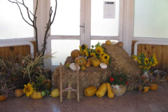 20120921_1634811012_retesnap-2012-047201
