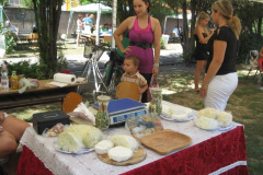 20120921_1759712778_retesnap-2012-281201
