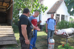 20120921_1905600672_retesnap-2012-108201